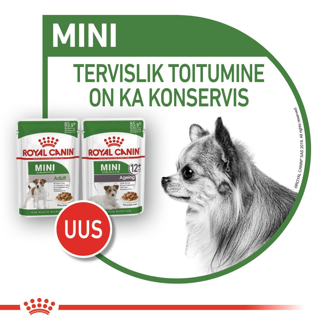 Royal Canin Mini Adult konserv (tükid kastmes)