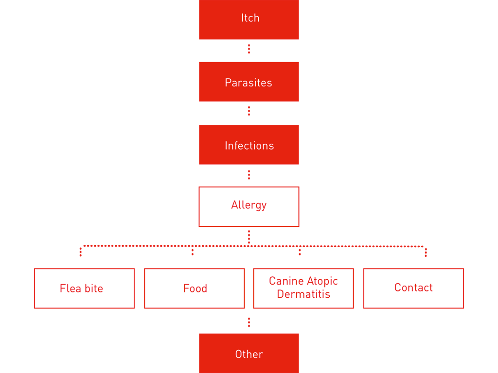 Dermatology skin conditions table