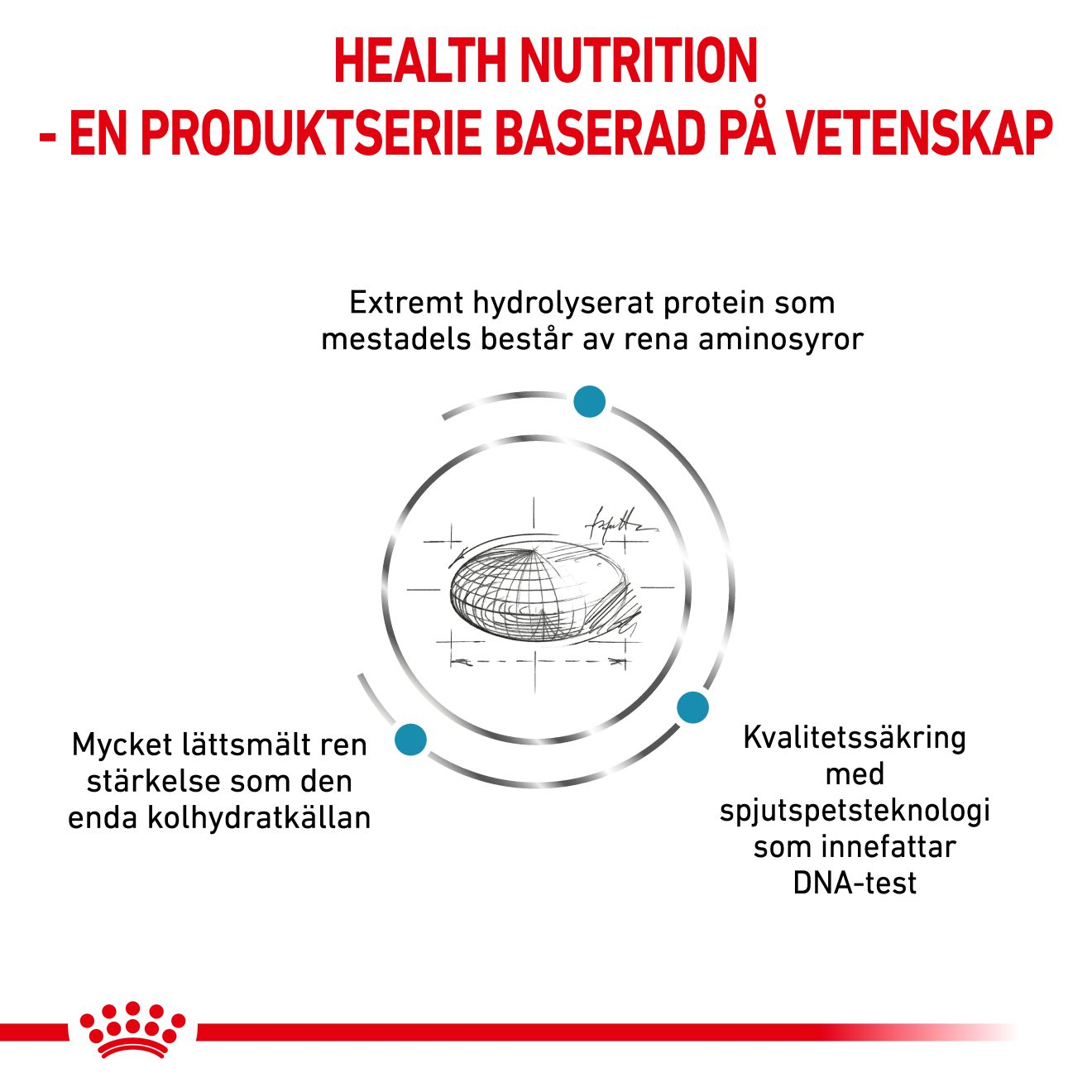 Derma Anallergenic