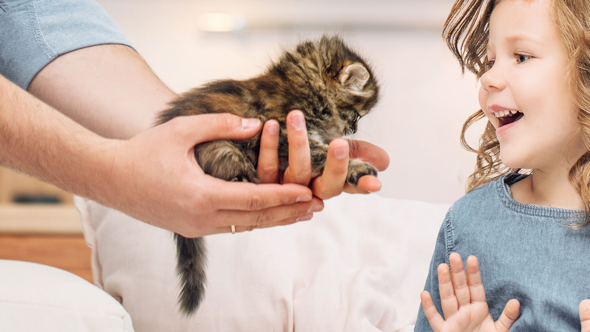 Eigenaar die een kitten aan een kind laat zien