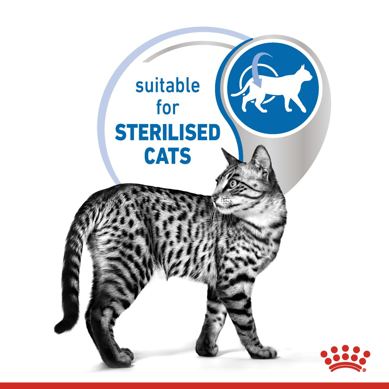 Royal canin sterilised clearance gravy