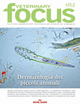 Dermatologia dei piccoli animali