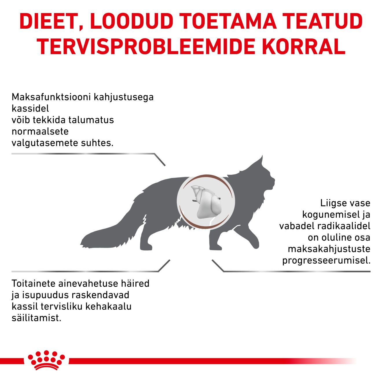 Royal Canin Hepatic Cat kuivtoit