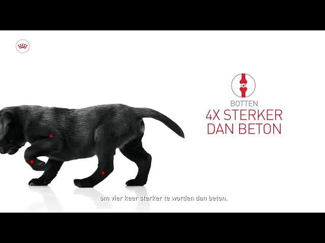 start-of-life-growth nl