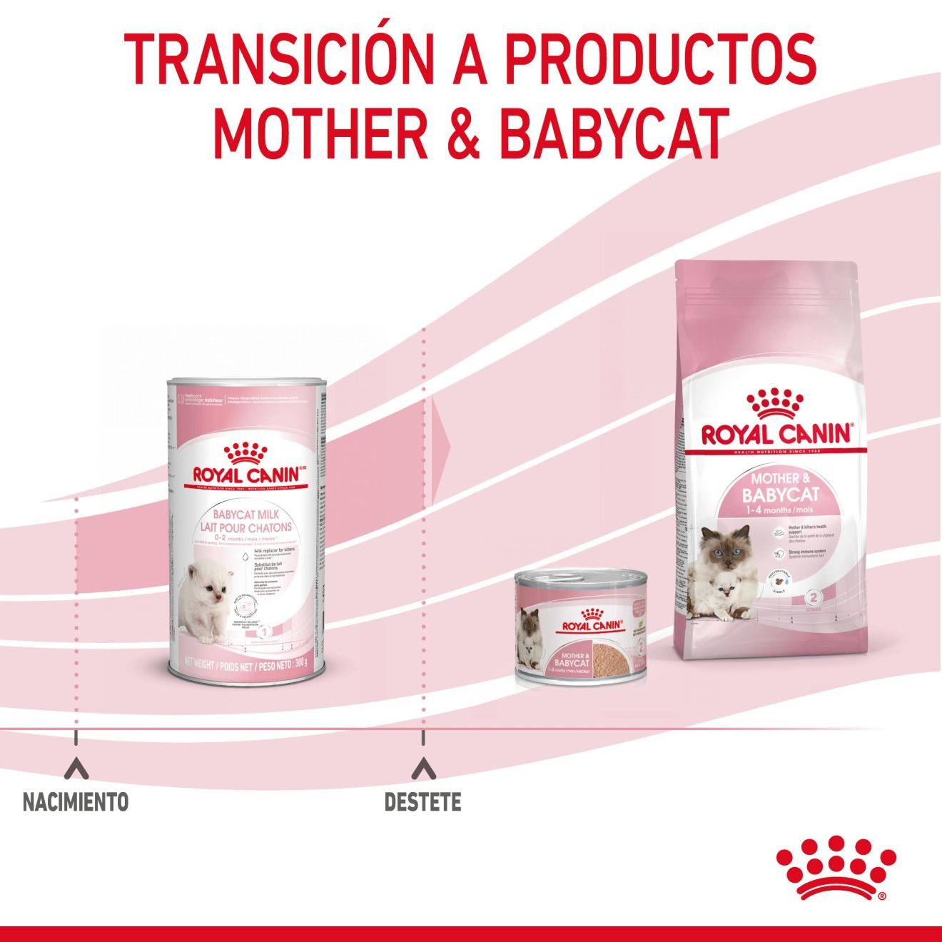 Babycat Milk Royal Canin ES