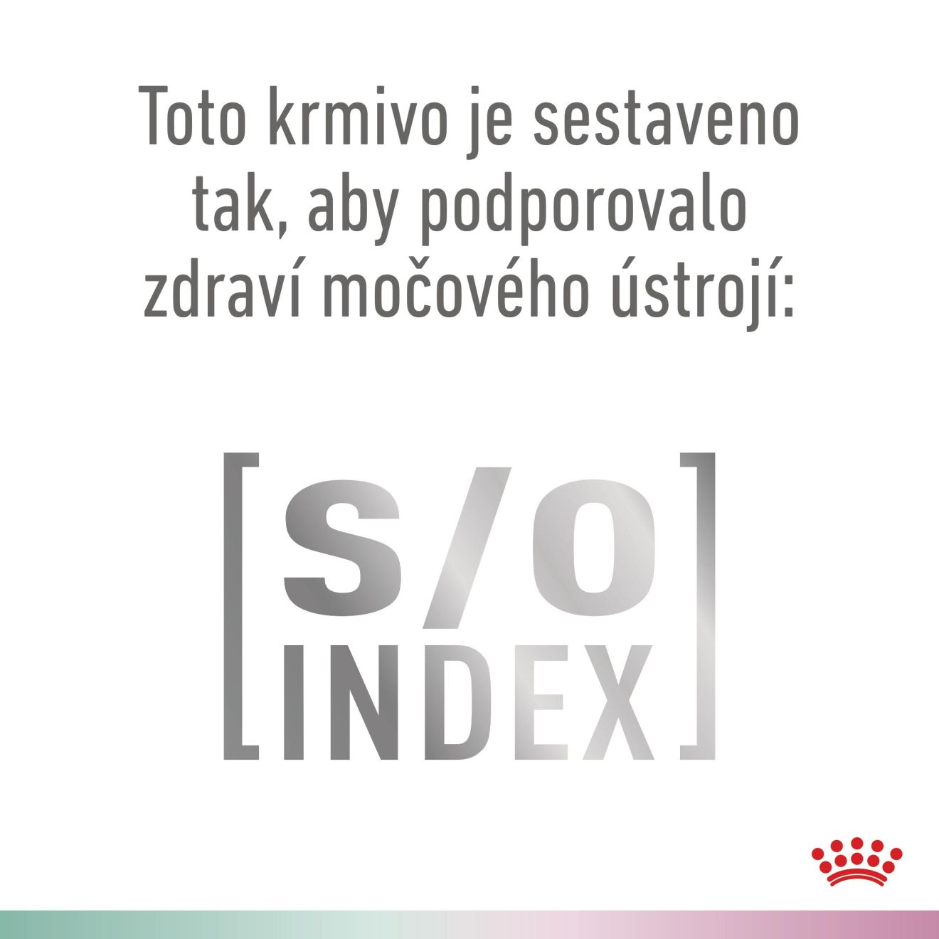 VHN Dog CA Satiety - Mobility Small