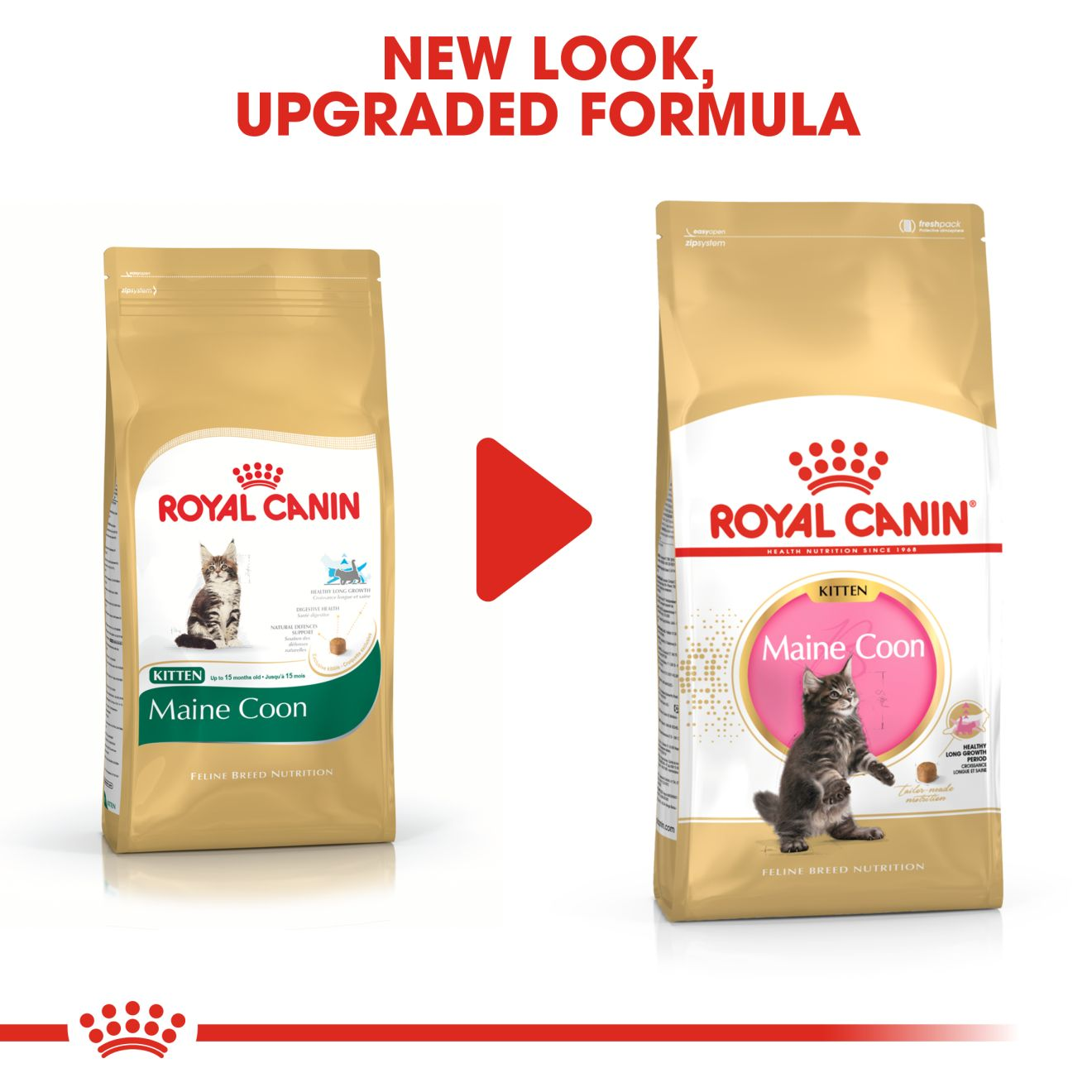 royal canin maine coon kitten wet food