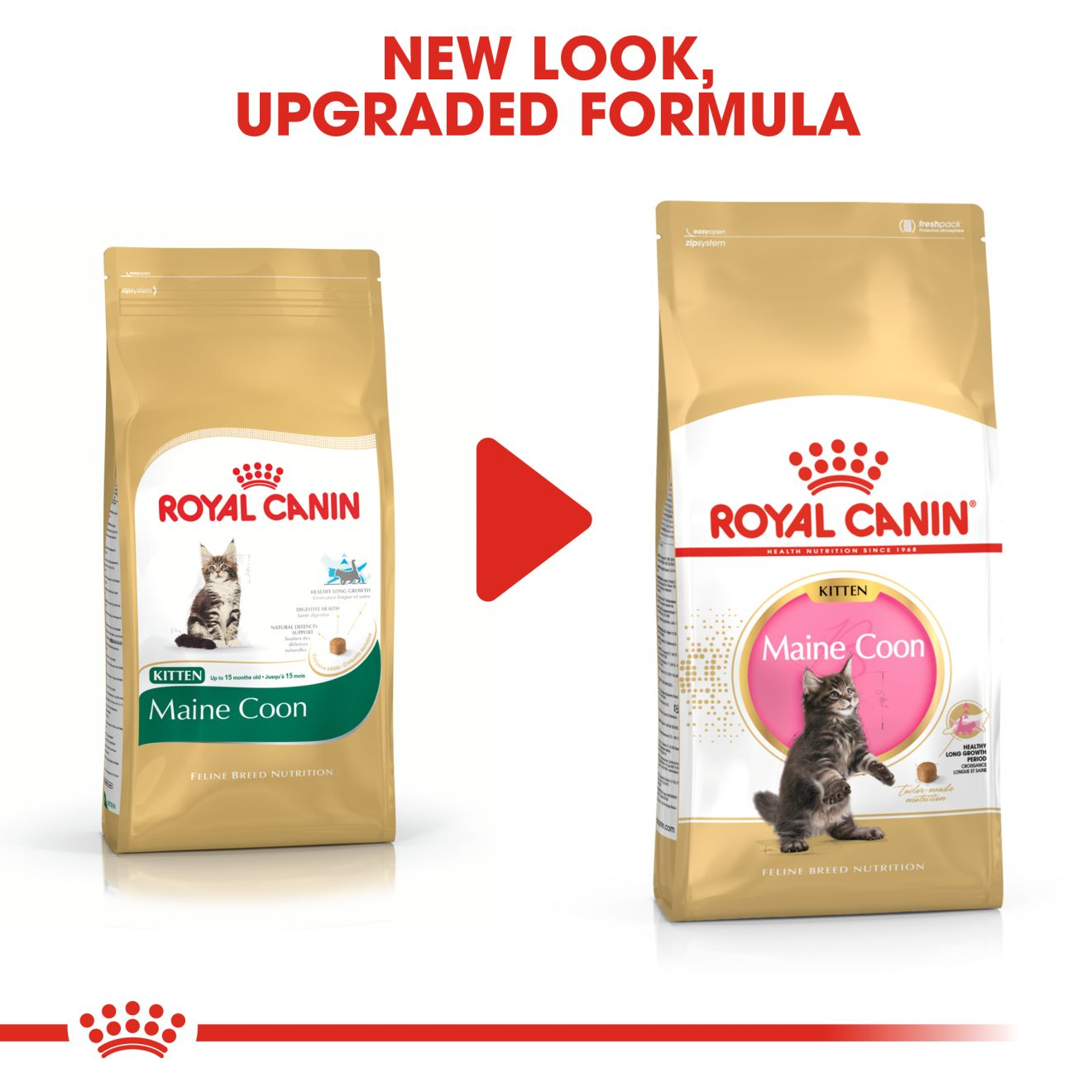 royal canin maine coon kitten dry food