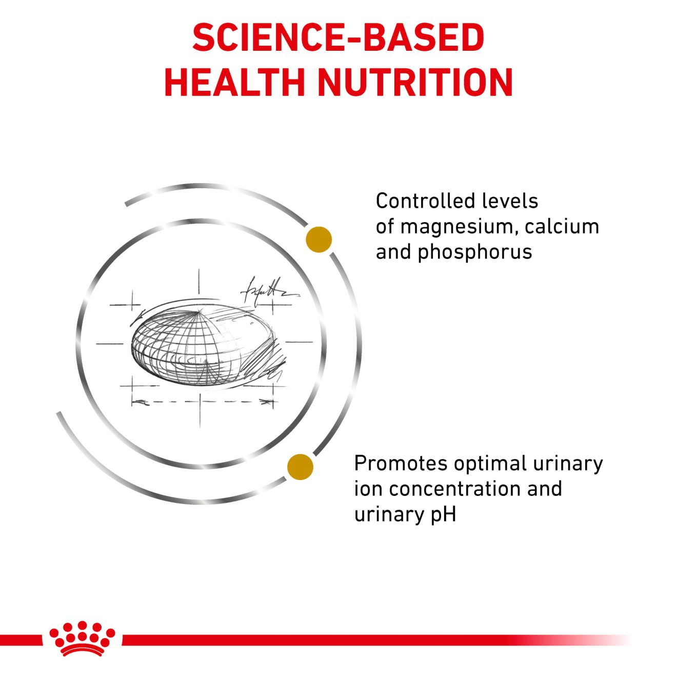 Feline Urinary SO Royal Canin US