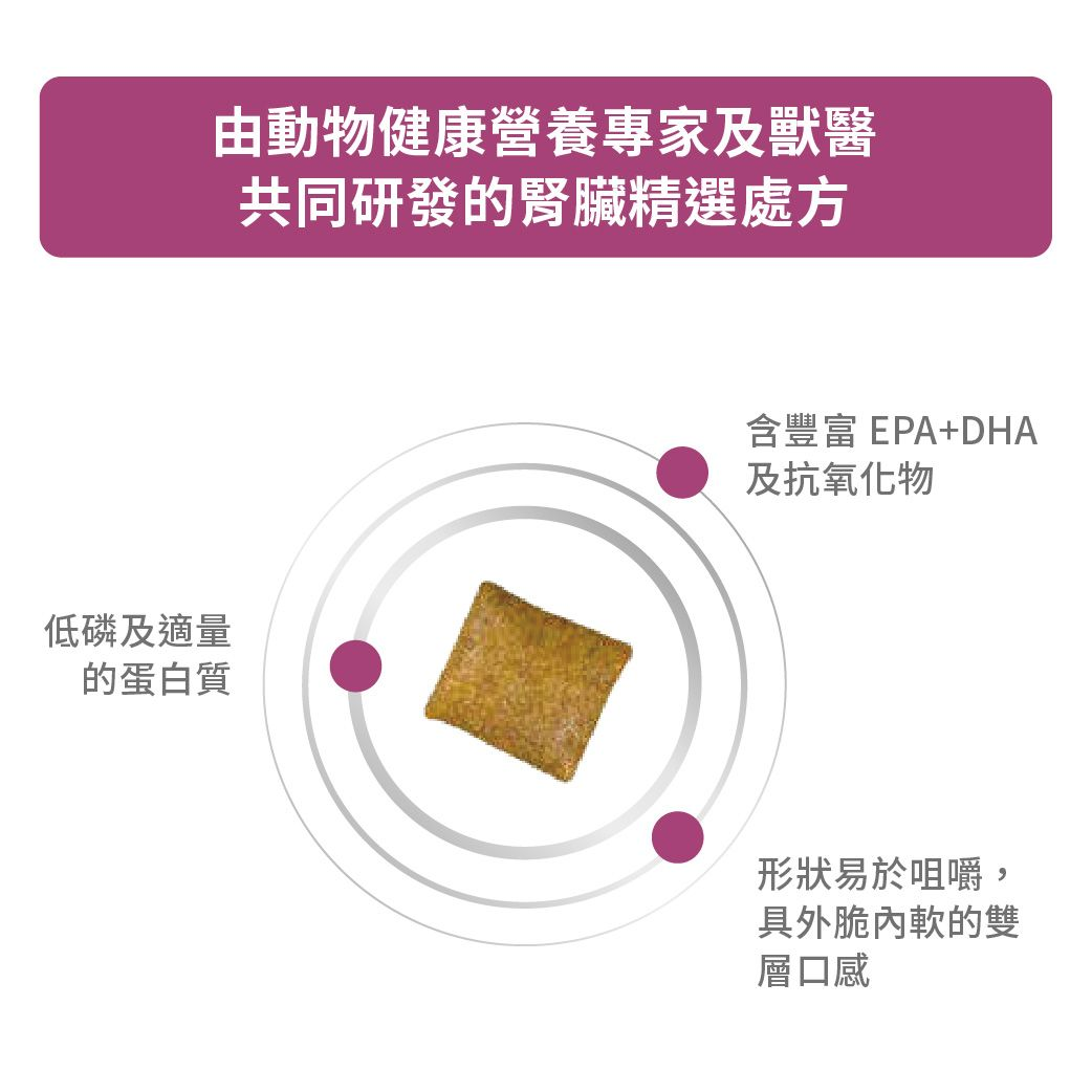 成貓腎臟精選處方