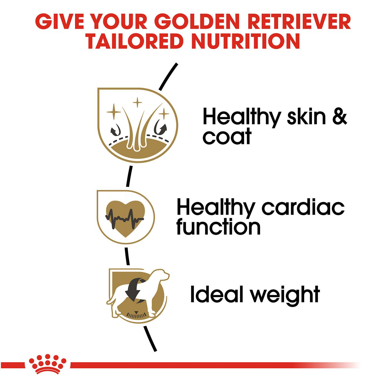 Golden Retriever Adult Dry Dog Food Royal Canin US