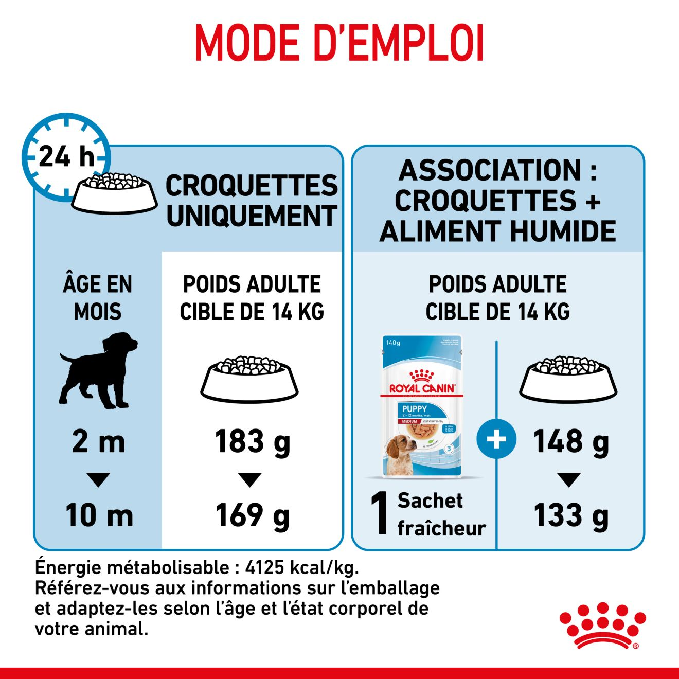 Medium Puppy pour chiot