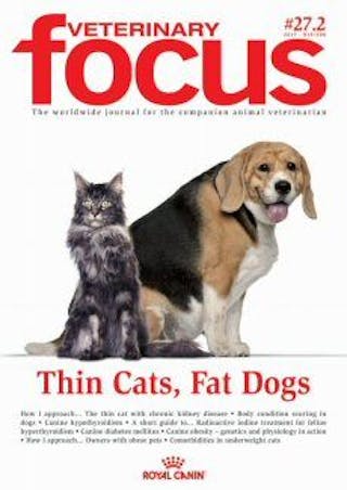 Thin Cats, Fat Dogs