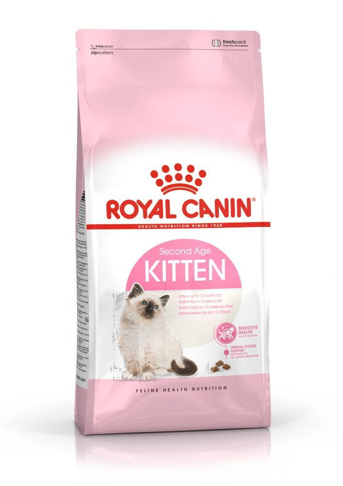 Royal canin bengal outlet kitten food