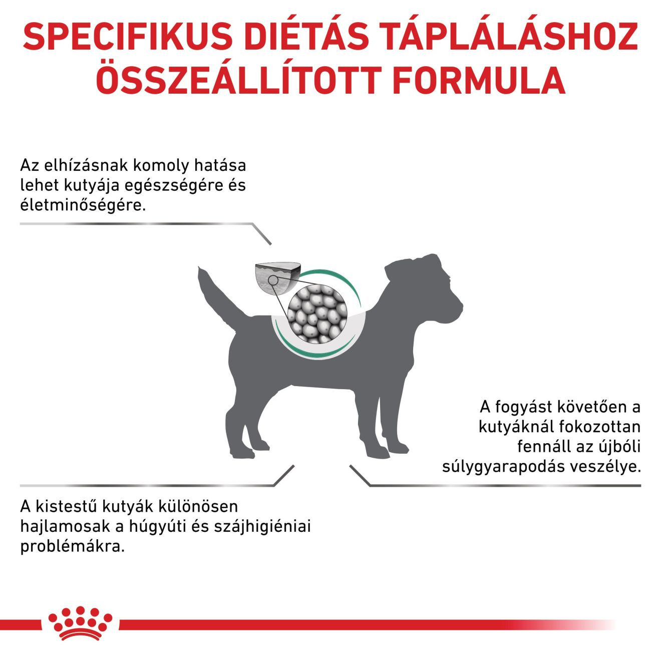 Satiety Weight Management Small Dog