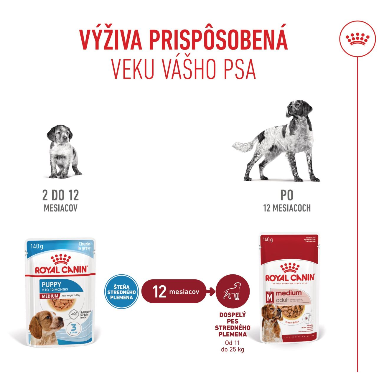 MEDIUM PUPPY kúsky v šťave