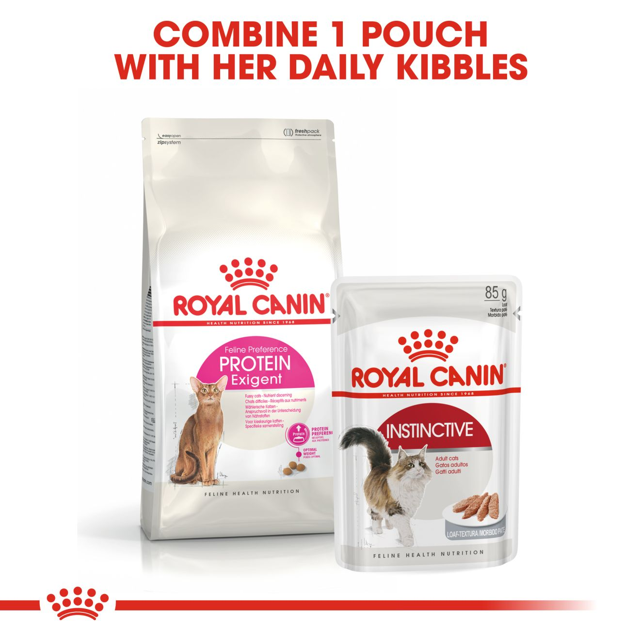 Royal canin 2025 cat food protein