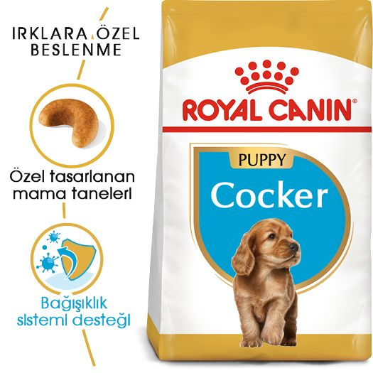 Cocker Puppy Yavru Köpek Kuru Maması