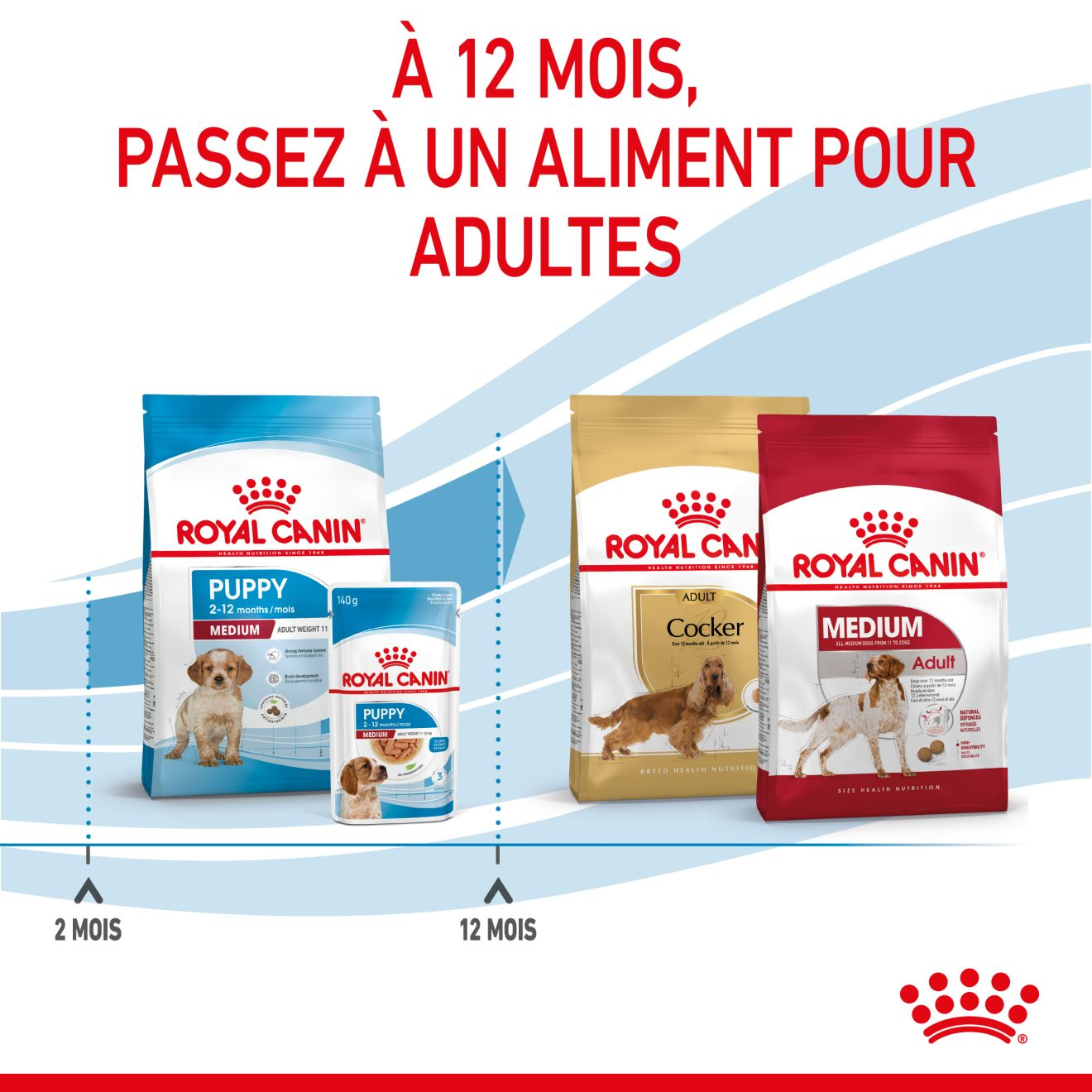 Medium Puppy pour chiot