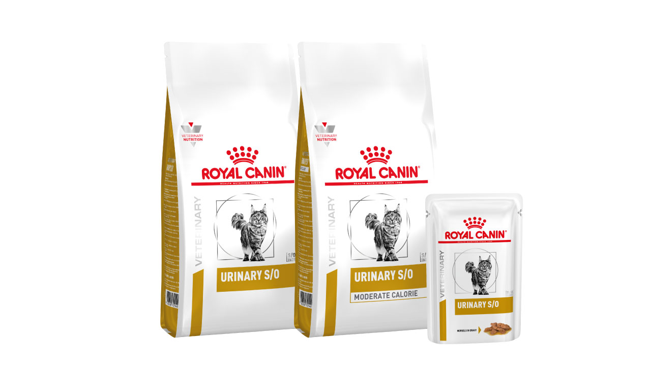 Cat urinary range pack shot