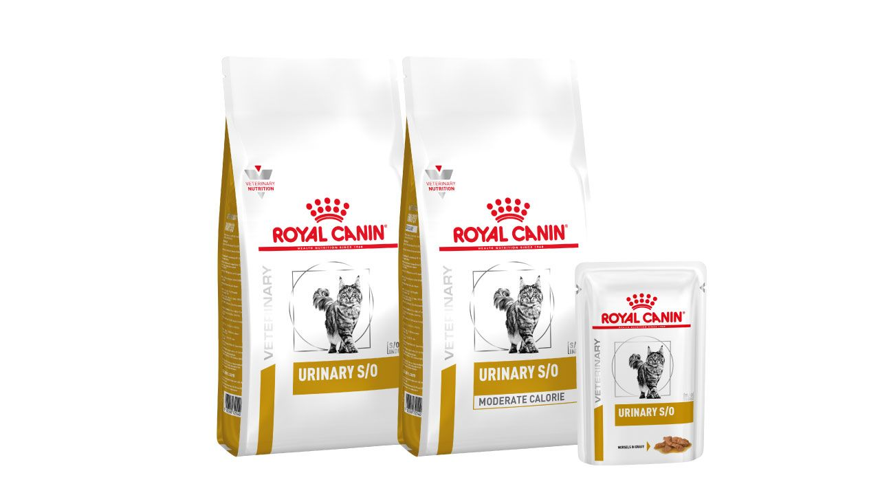 Cat urinary range pack shot