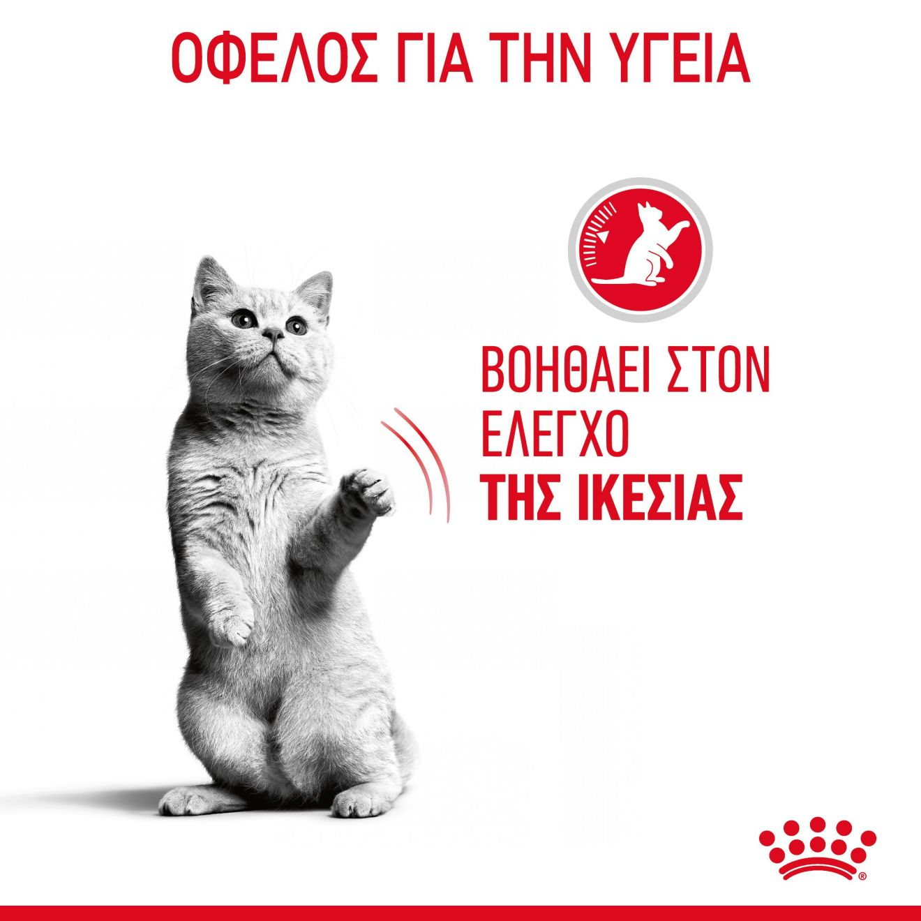 APPETITE CONTROL CARE Λεπτές φέτες σε ζελέ