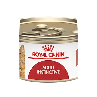 Adult Instinctive thin slices in gravy