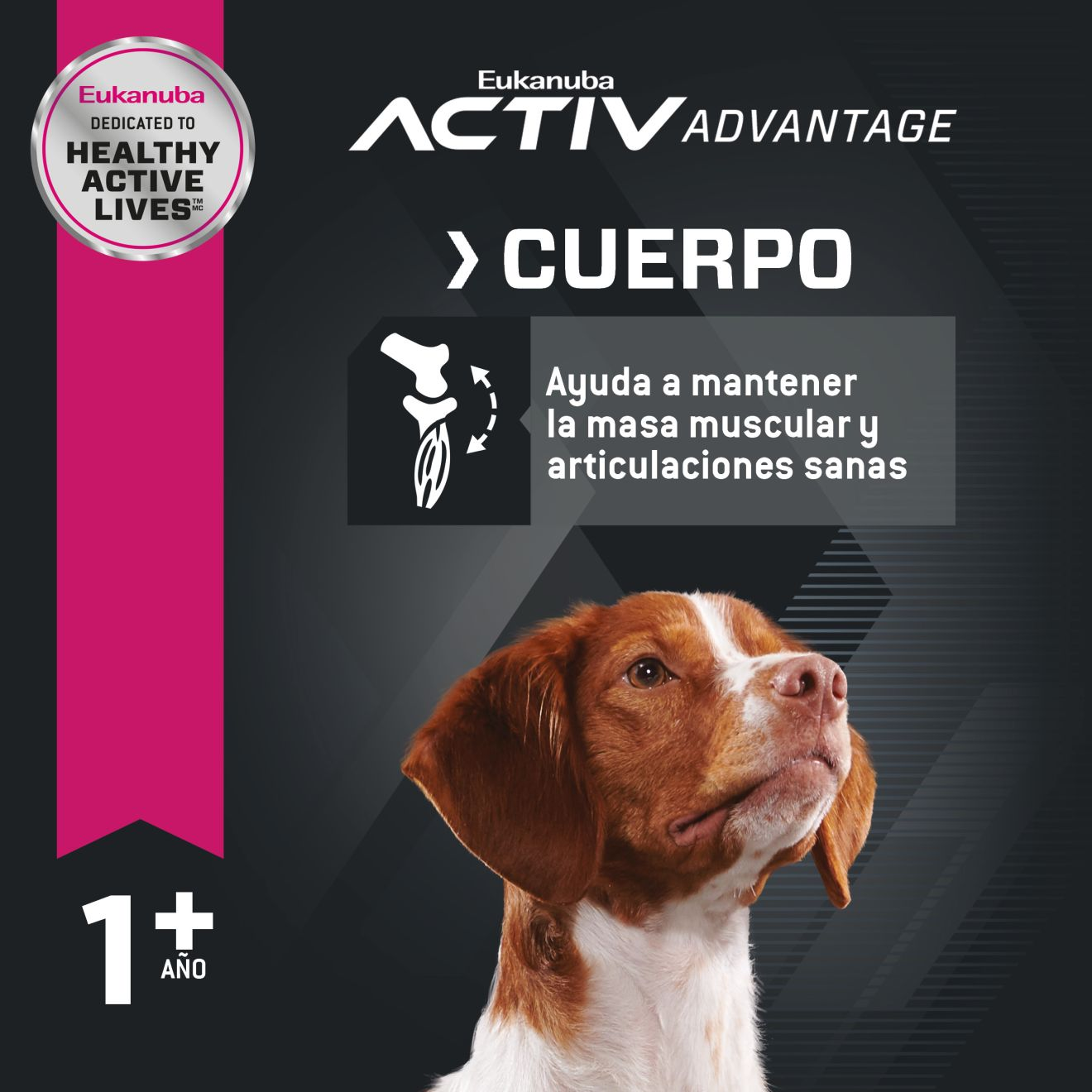 Eukanuba™  ADULT MEDIUM BREED