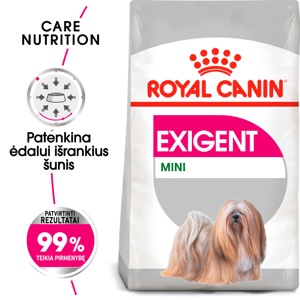 Mini Exigent