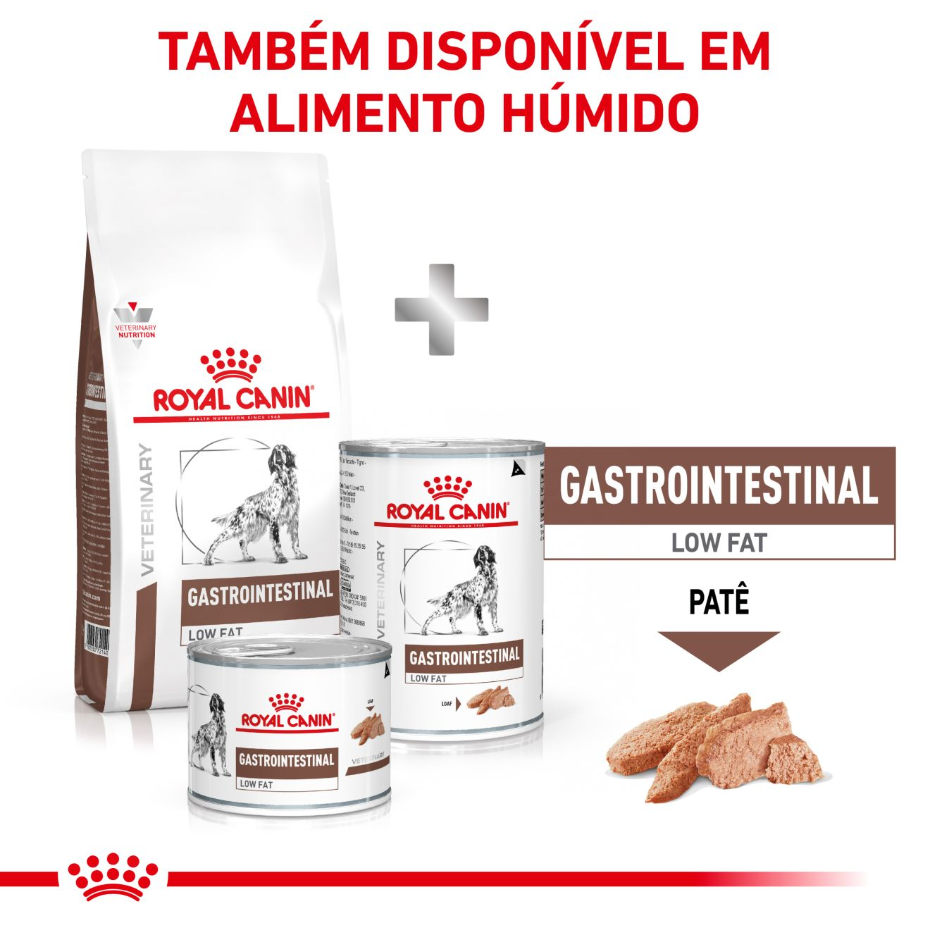 Gastrointestinal Low Fat