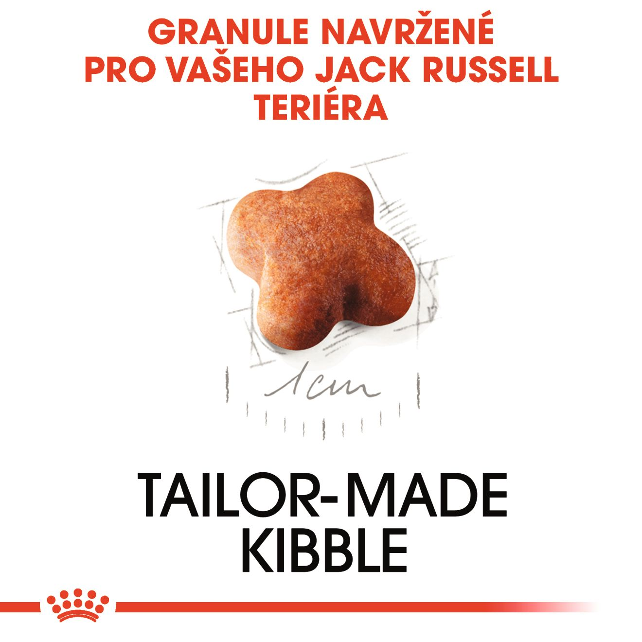 JACK RUSSELL TERRIER Puppy