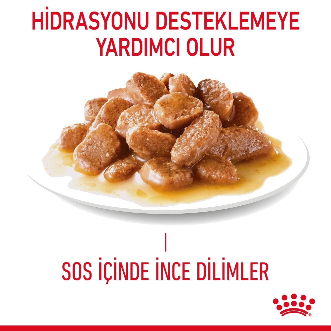 Digestive Care Yetişkin Kedi Yaş Maması