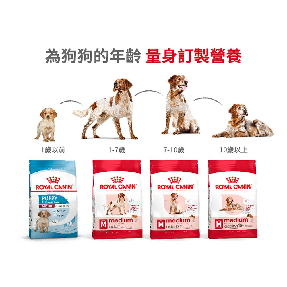 SHN 中型成犬營養配方