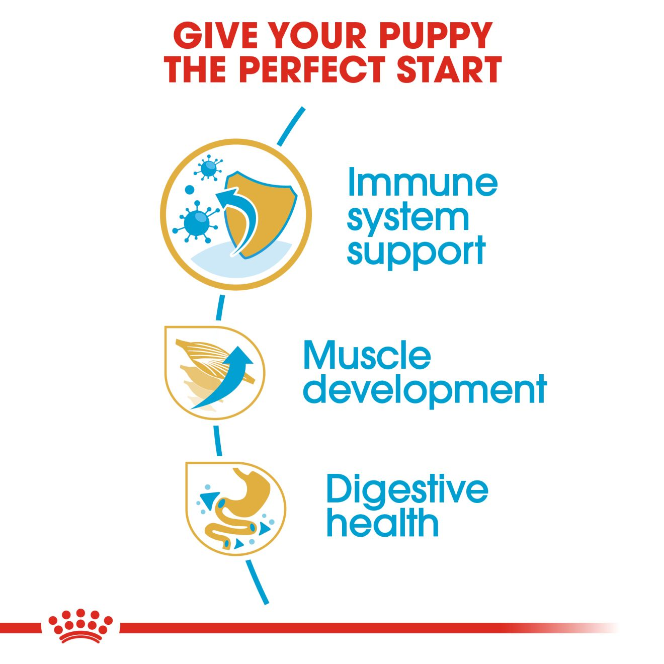 Royal canin boxer puppy hotsell feeding guide