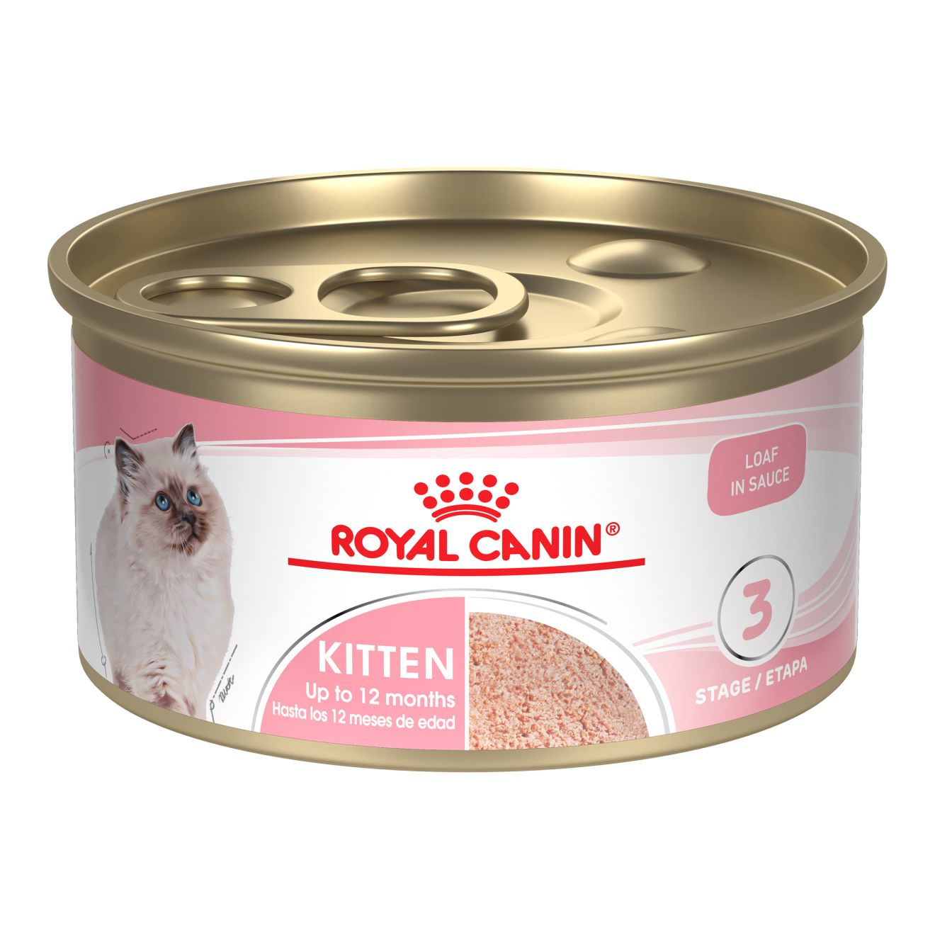 Kitten Loaf in Sauce Canned Cat Food Royal Canin US