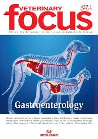 Gastroenterology