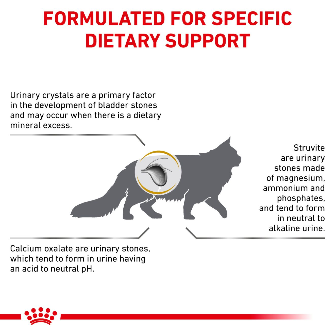 Feline Urinary SO®