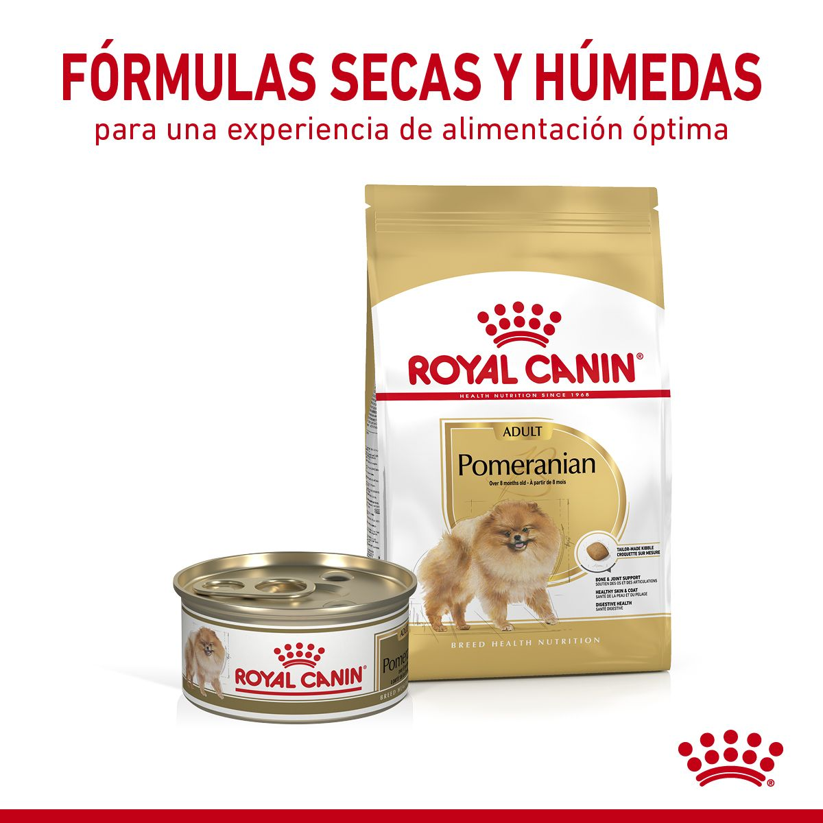 Pomeranian Loaf in Sauce lata