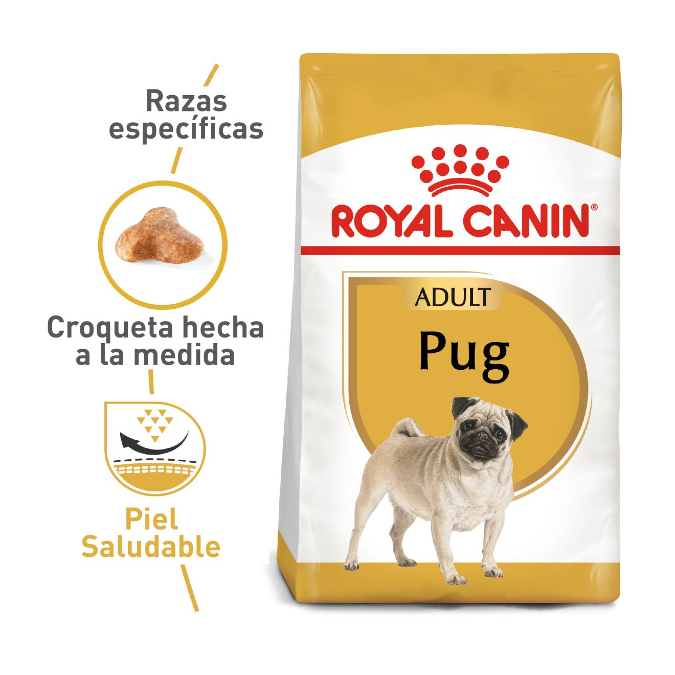 Pug Adulto