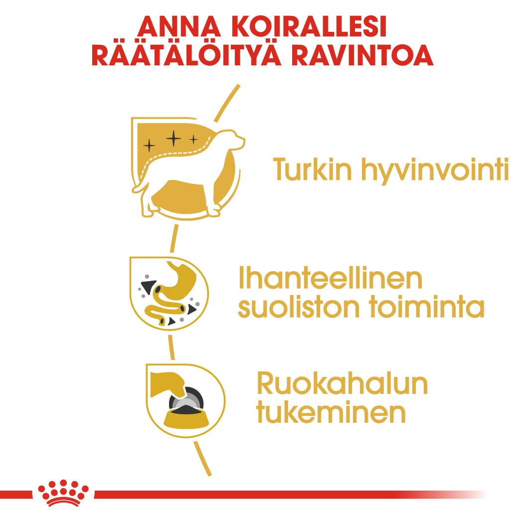 Chihuahua Adult Loaf