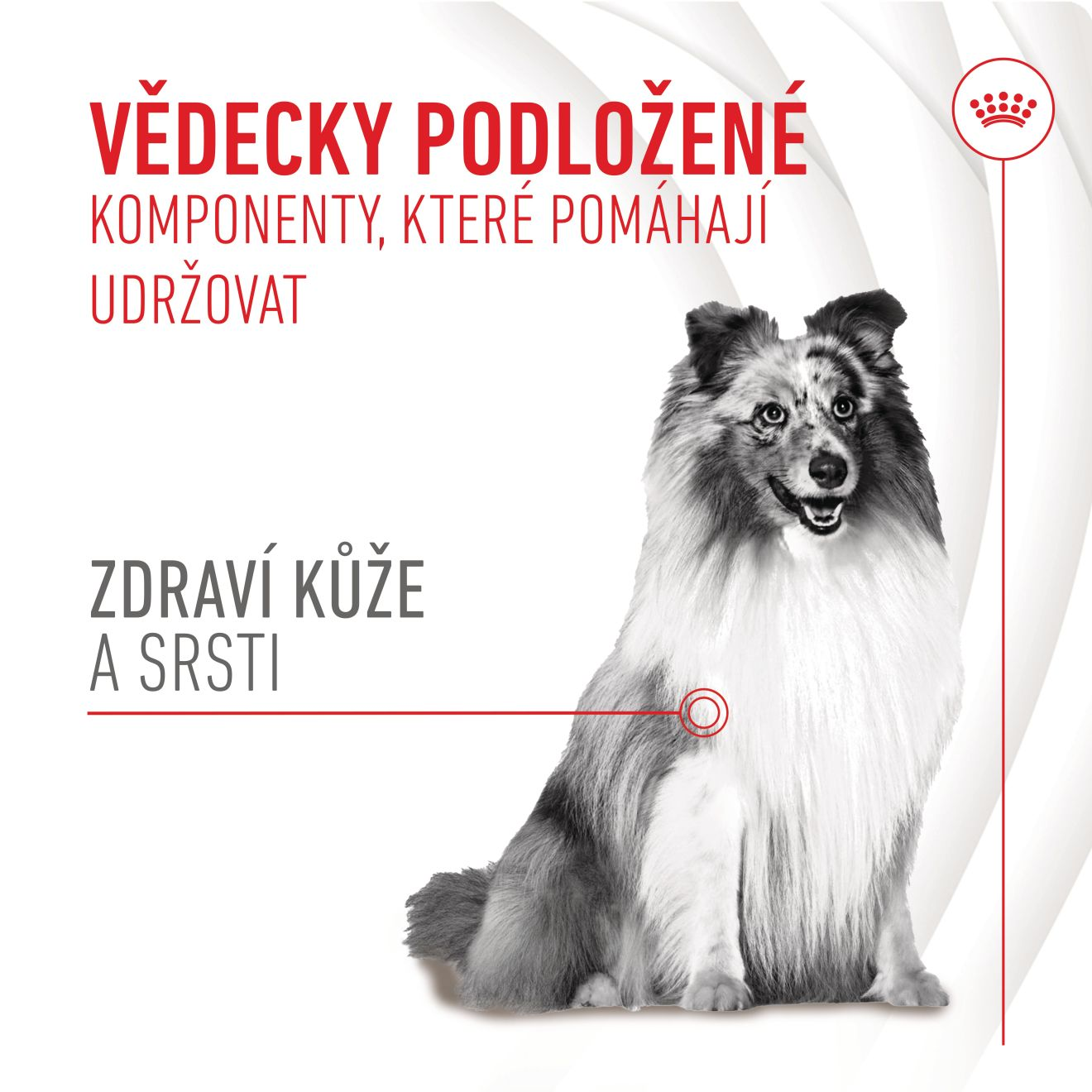 Supplements Dog Skin & Coat Adult 
