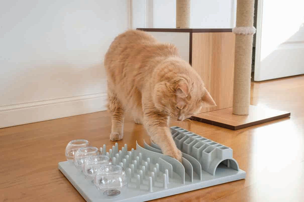 L’utilisation quotidienne d’un jouet distributeur de croquettes pour nourrir un chat lui apportera une stimulation mentale tout en l’aidant à éviter de consommer trop de calories