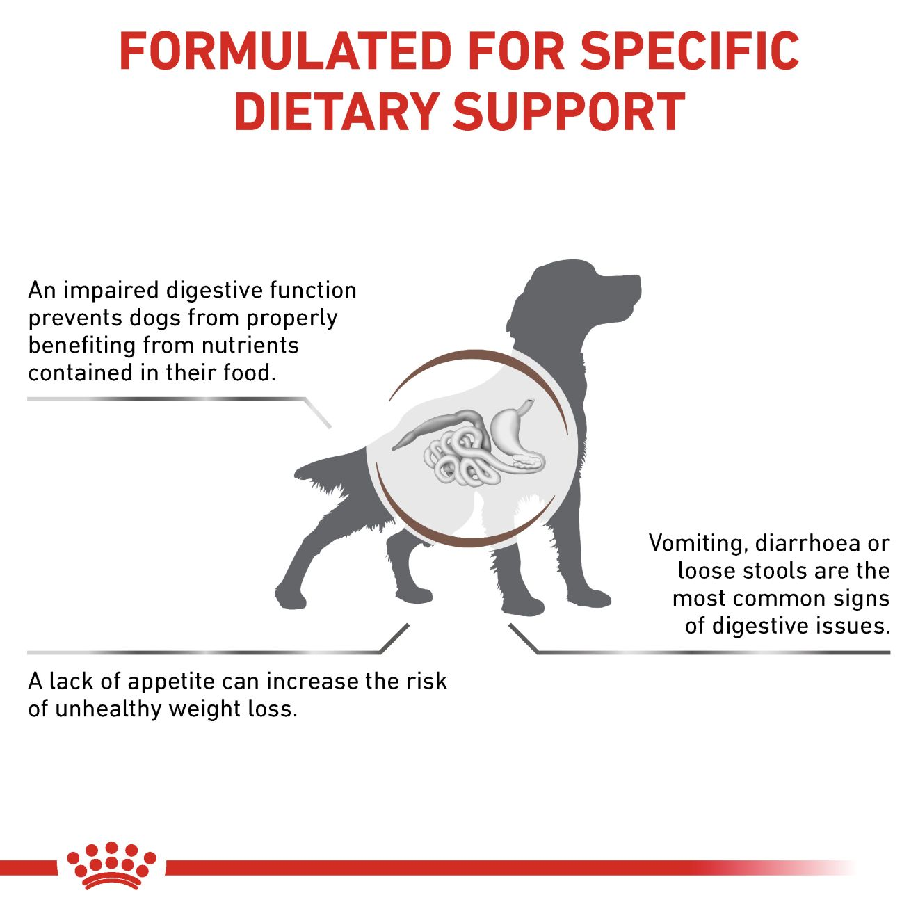 VHN Dog Gastrointestinal 