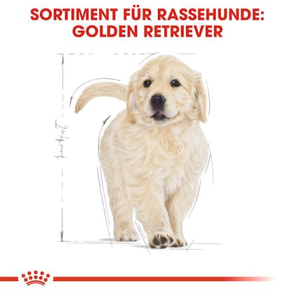 RC-BHN-Puppy-Golden-Retriever-Trockennahrung_Sortiment_DE