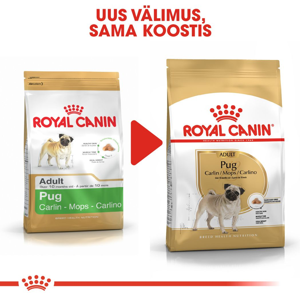 Royal Canin Pug Adult kuivtoit