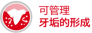 可管理牙垢的形成