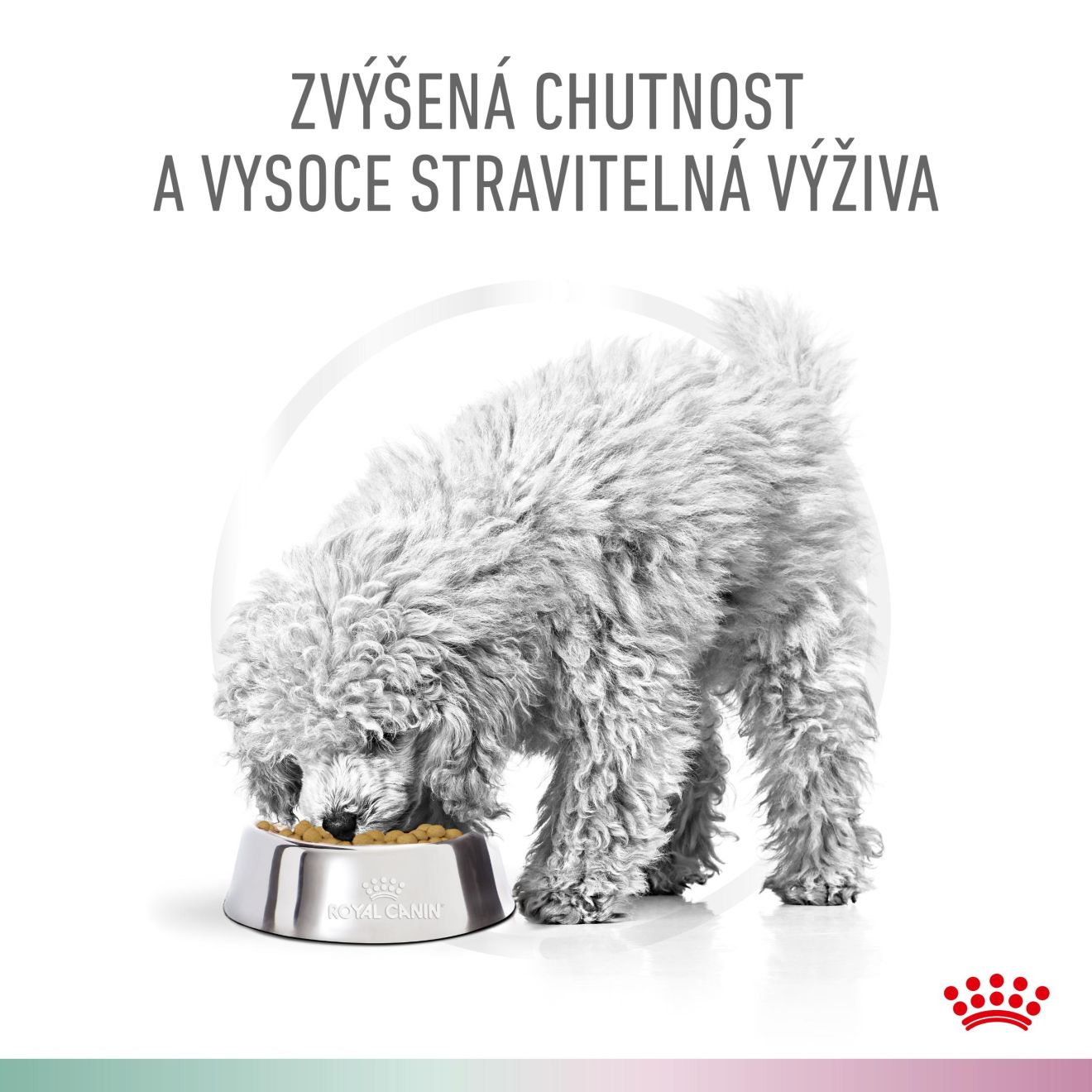 VHN Dog CA Satiety - Mobility Small
