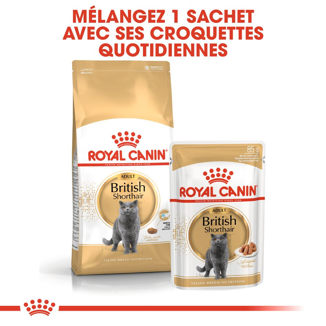 British Shorthair Adult Loaf (pâtée en sauce)