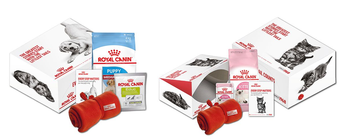 Royal canin hot sale kitten pack