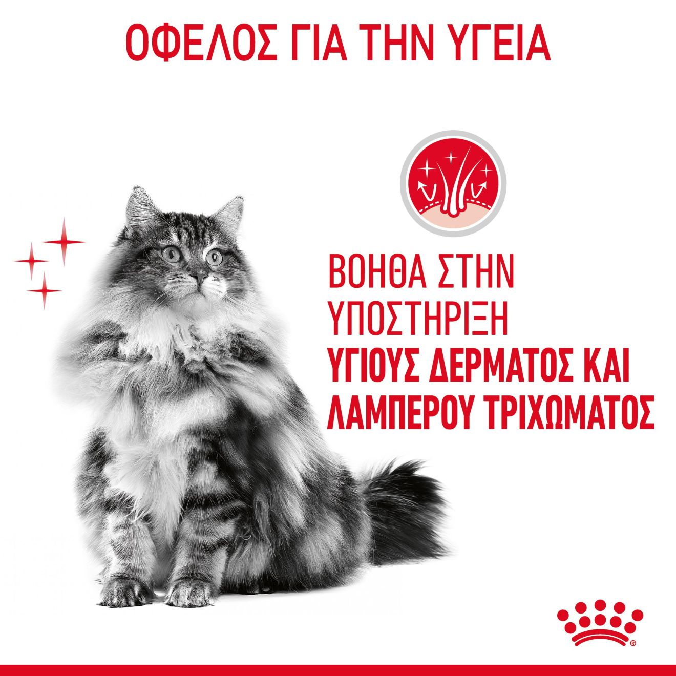 HAIR&SKIN Λεπτές φέτες σε ζελέ 